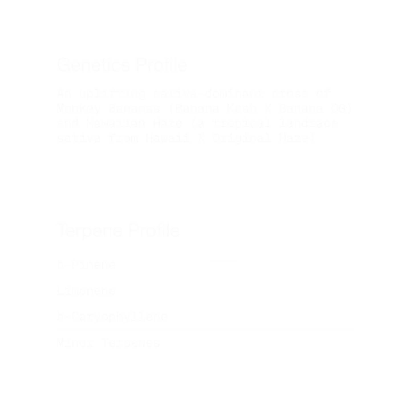 Banana Cream | Sativa