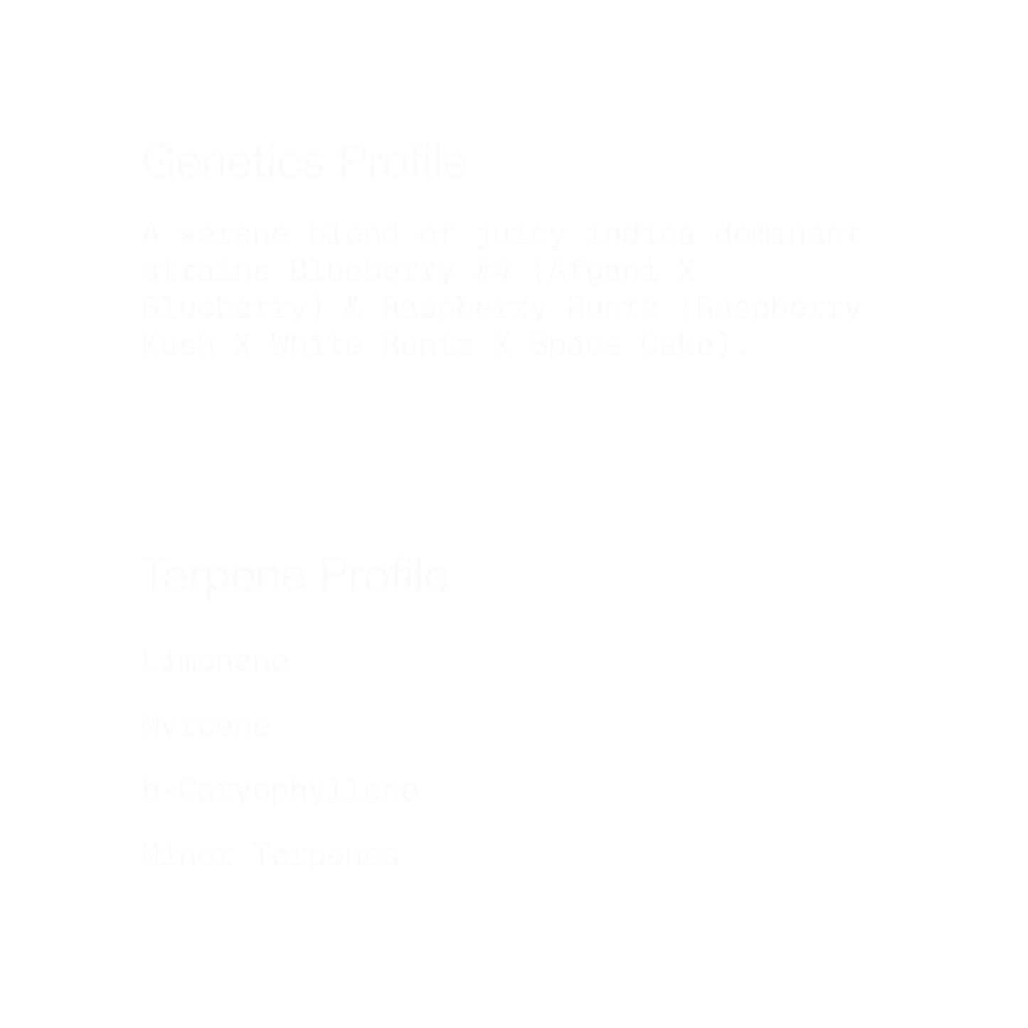 Bluerazz Runtz | Indica