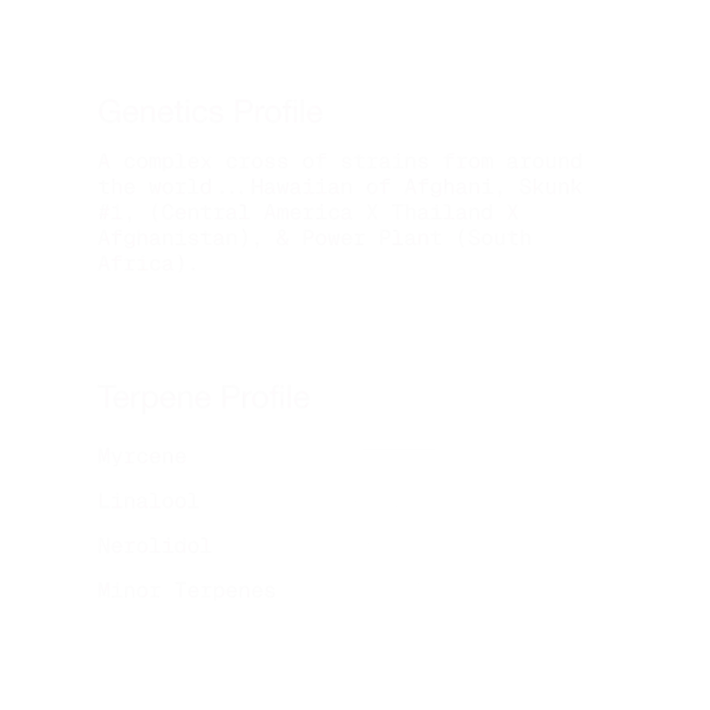 Cotton Candy Kush | Indica