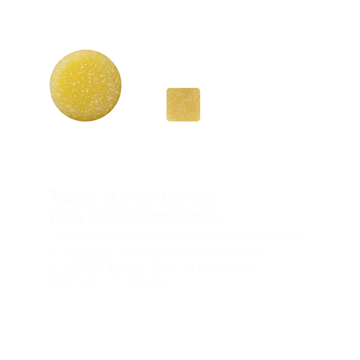 Piña Colada Kush | Sativa