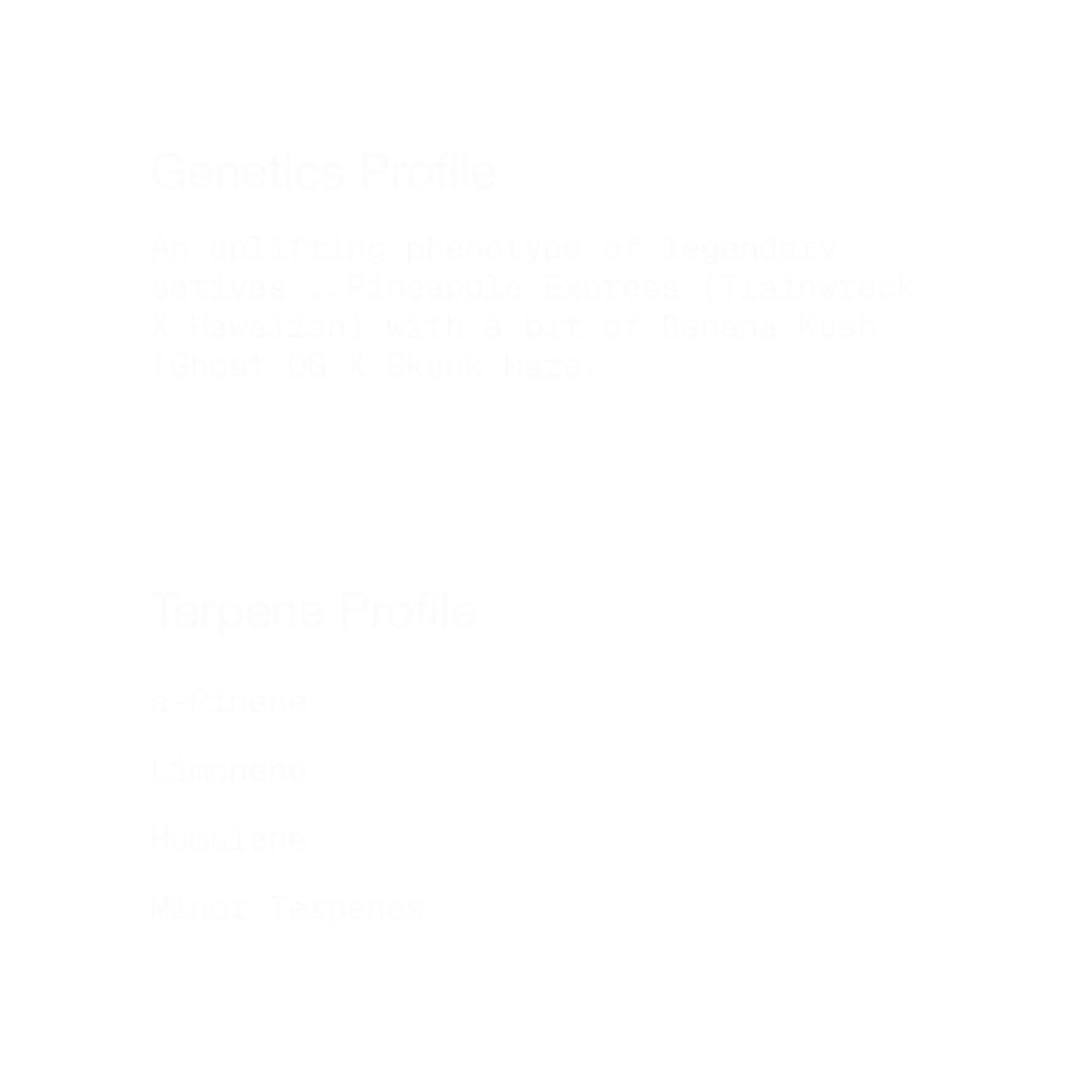 Piña Colada Kush | Sativa