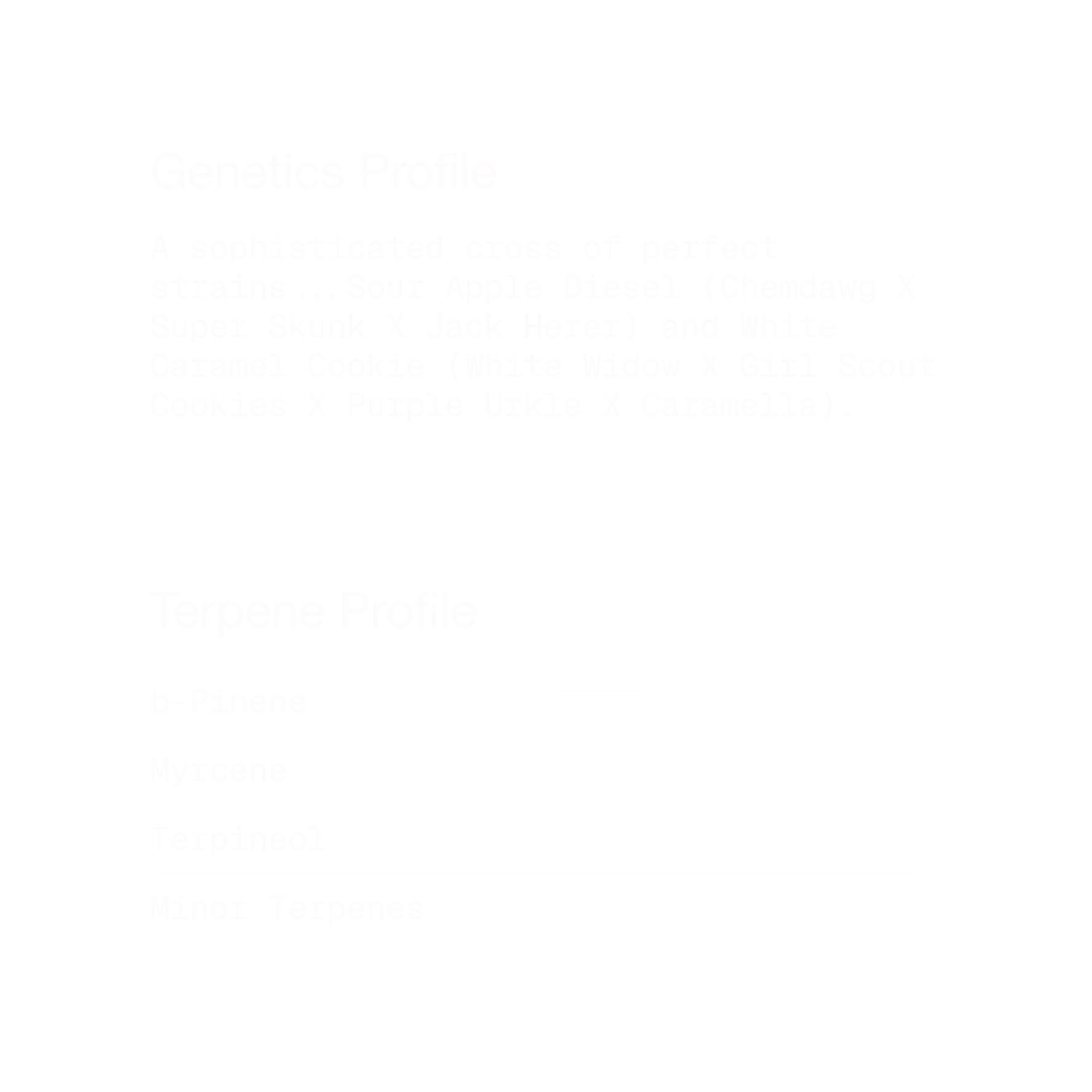 Sour Caramel Apple Kush | Hybrid