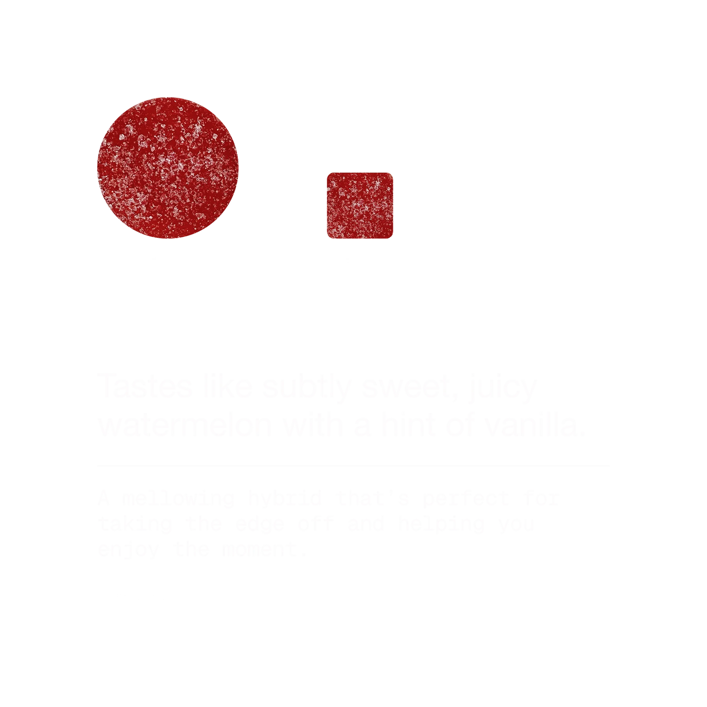Watermelon Sorbet | Hybrid